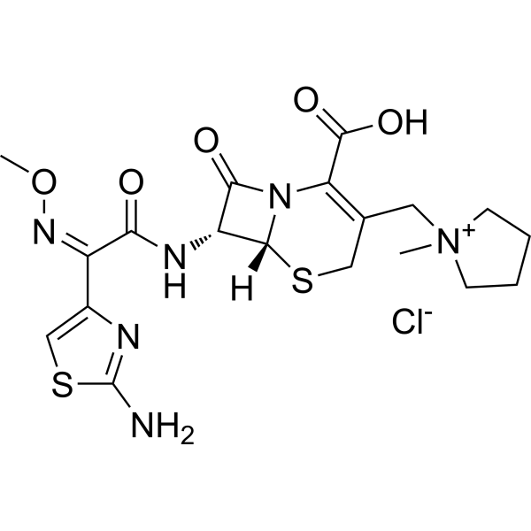 Cefepime chloride 107648-79-3
